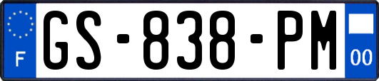 GS-838-PM