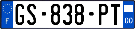 GS-838-PT