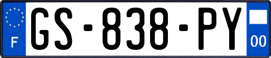 GS-838-PY
