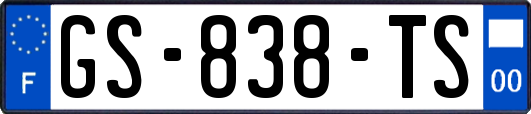 GS-838-TS