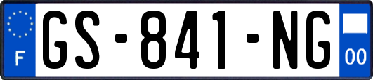 GS-841-NG