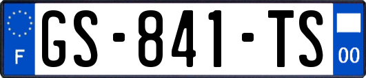 GS-841-TS