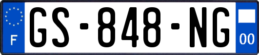 GS-848-NG