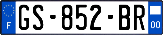 GS-852-BR