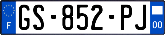 GS-852-PJ