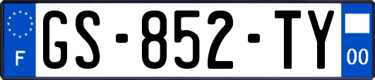 GS-852-TY