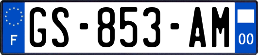 GS-853-AM