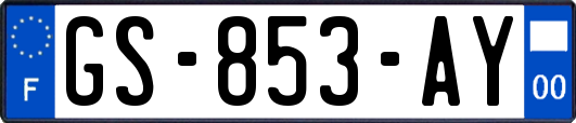 GS-853-AY