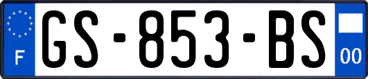 GS-853-BS