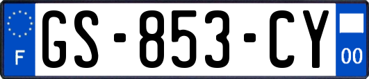 GS-853-CY