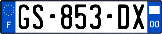 GS-853-DX