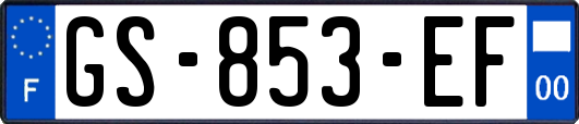GS-853-EF