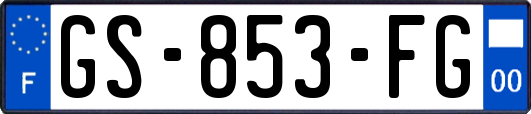 GS-853-FG