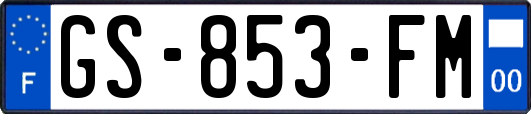 GS-853-FM