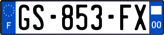 GS-853-FX