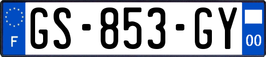 GS-853-GY