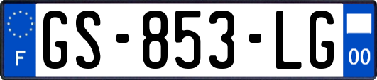 GS-853-LG