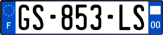 GS-853-LS