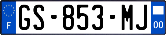 GS-853-MJ