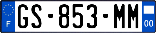 GS-853-MM