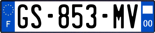 GS-853-MV