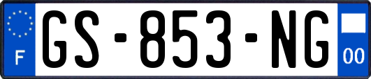 GS-853-NG