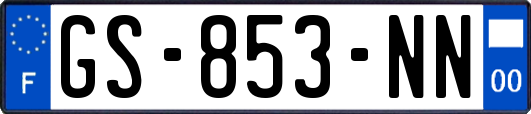 GS-853-NN