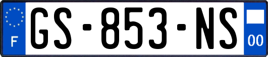 GS-853-NS