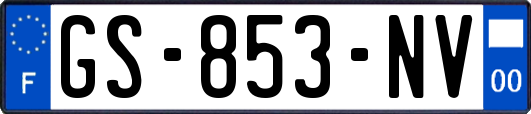 GS-853-NV