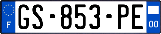 GS-853-PE