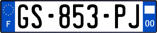 GS-853-PJ