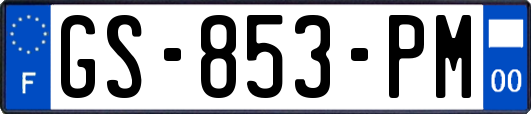 GS-853-PM