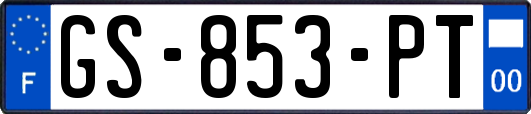 GS-853-PT