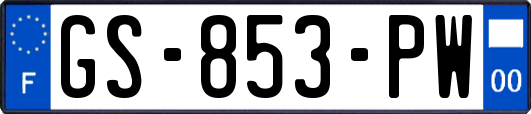 GS-853-PW