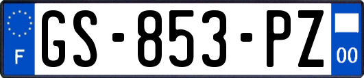 GS-853-PZ