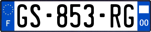 GS-853-RG