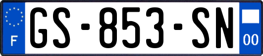 GS-853-SN