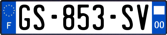 GS-853-SV