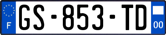 GS-853-TD