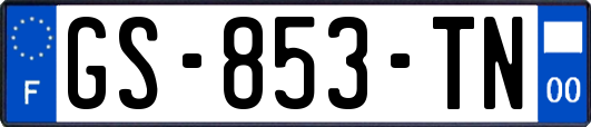 GS-853-TN