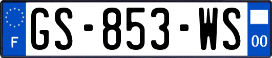 GS-853-WS