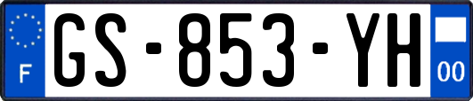 GS-853-YH