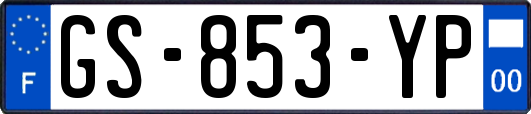 GS-853-YP