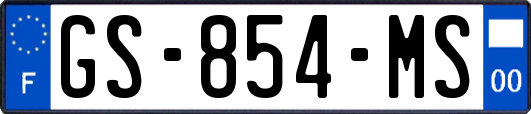 GS-854-MS