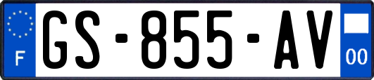 GS-855-AV