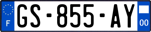 GS-855-AY