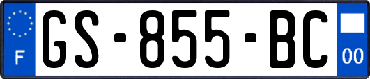 GS-855-BC