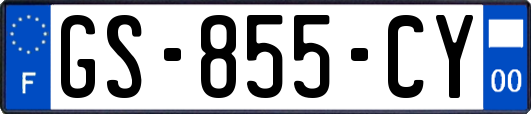 GS-855-CY