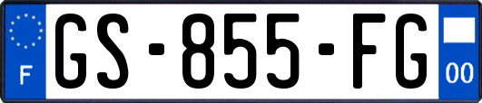 GS-855-FG