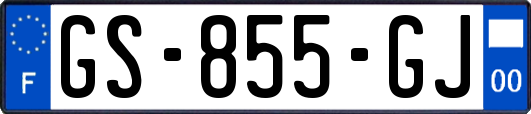 GS-855-GJ